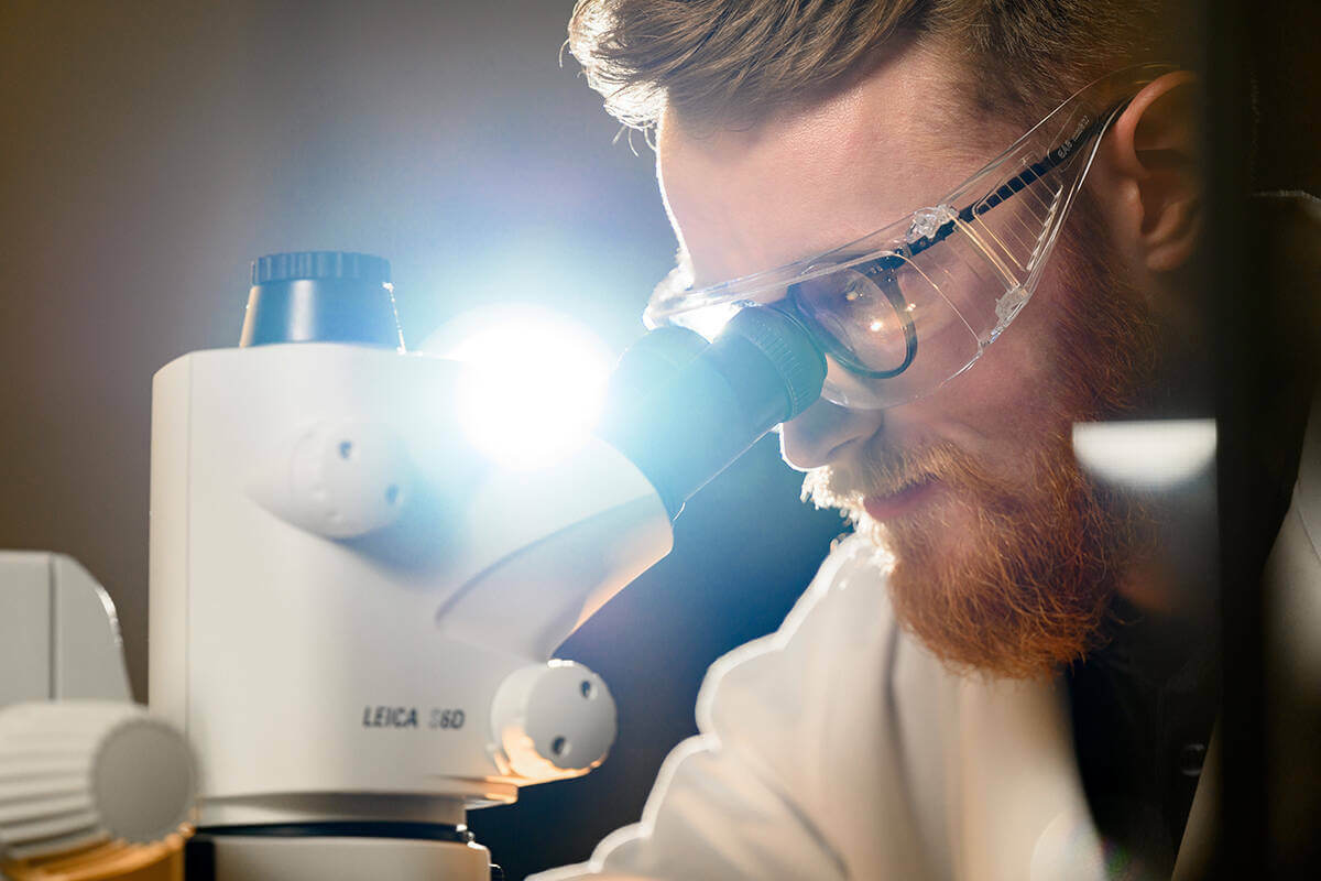 University of Notre Dame graduate student looks through microscope.